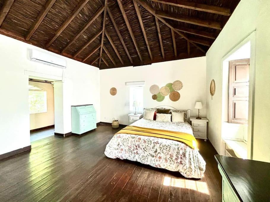 Los Matos, Canarian House In Valleseco 외부 사진