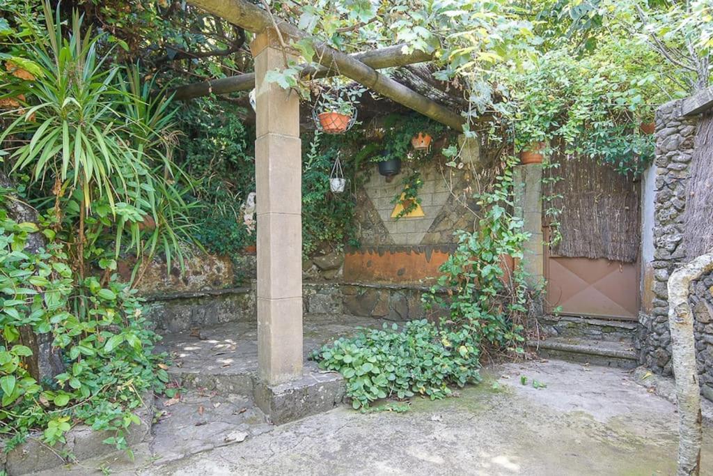 Los Matos, Canarian House In Valleseco 외부 사진
