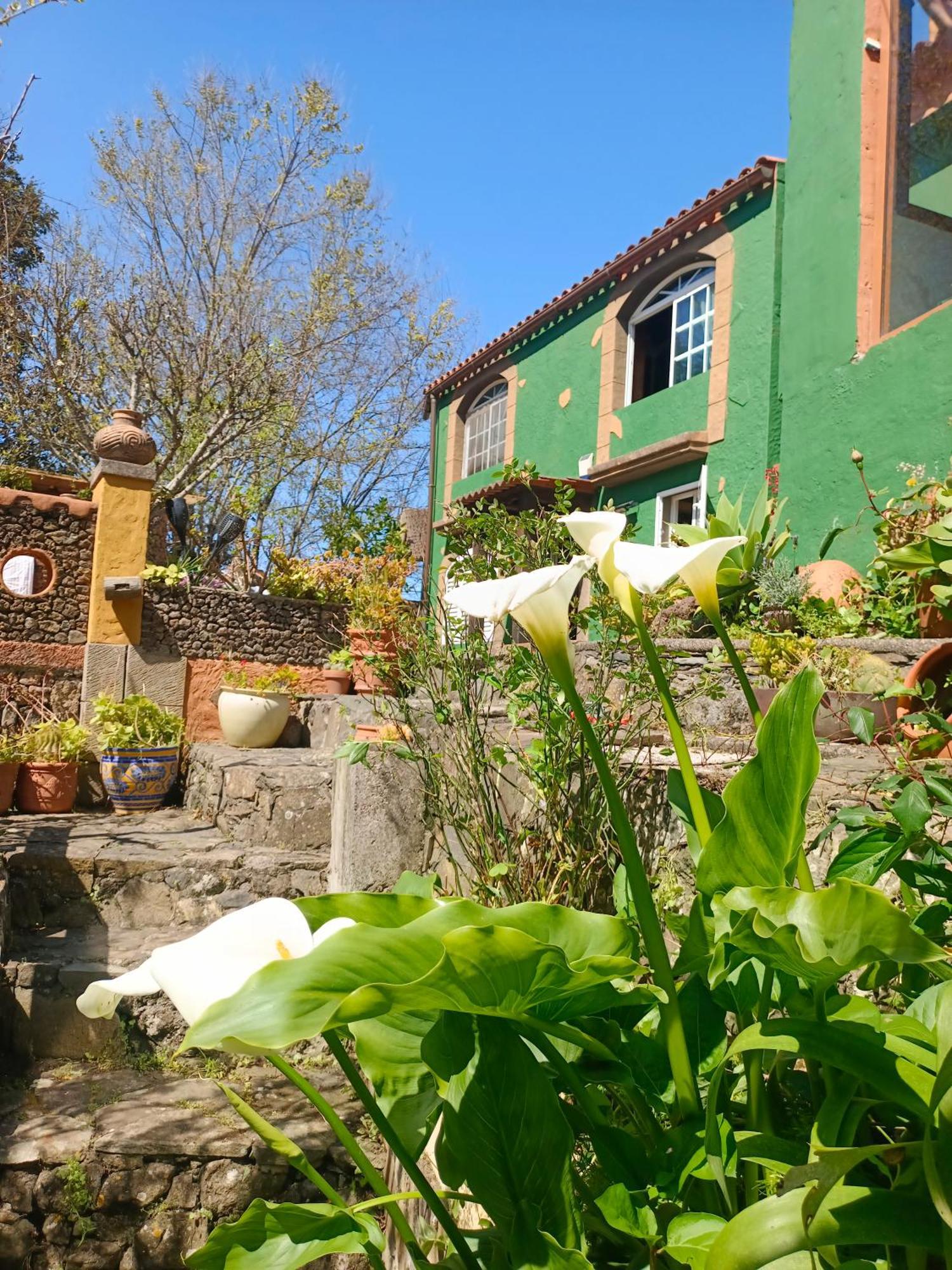 Los Matos, Canarian House In Valleseco 외부 사진
