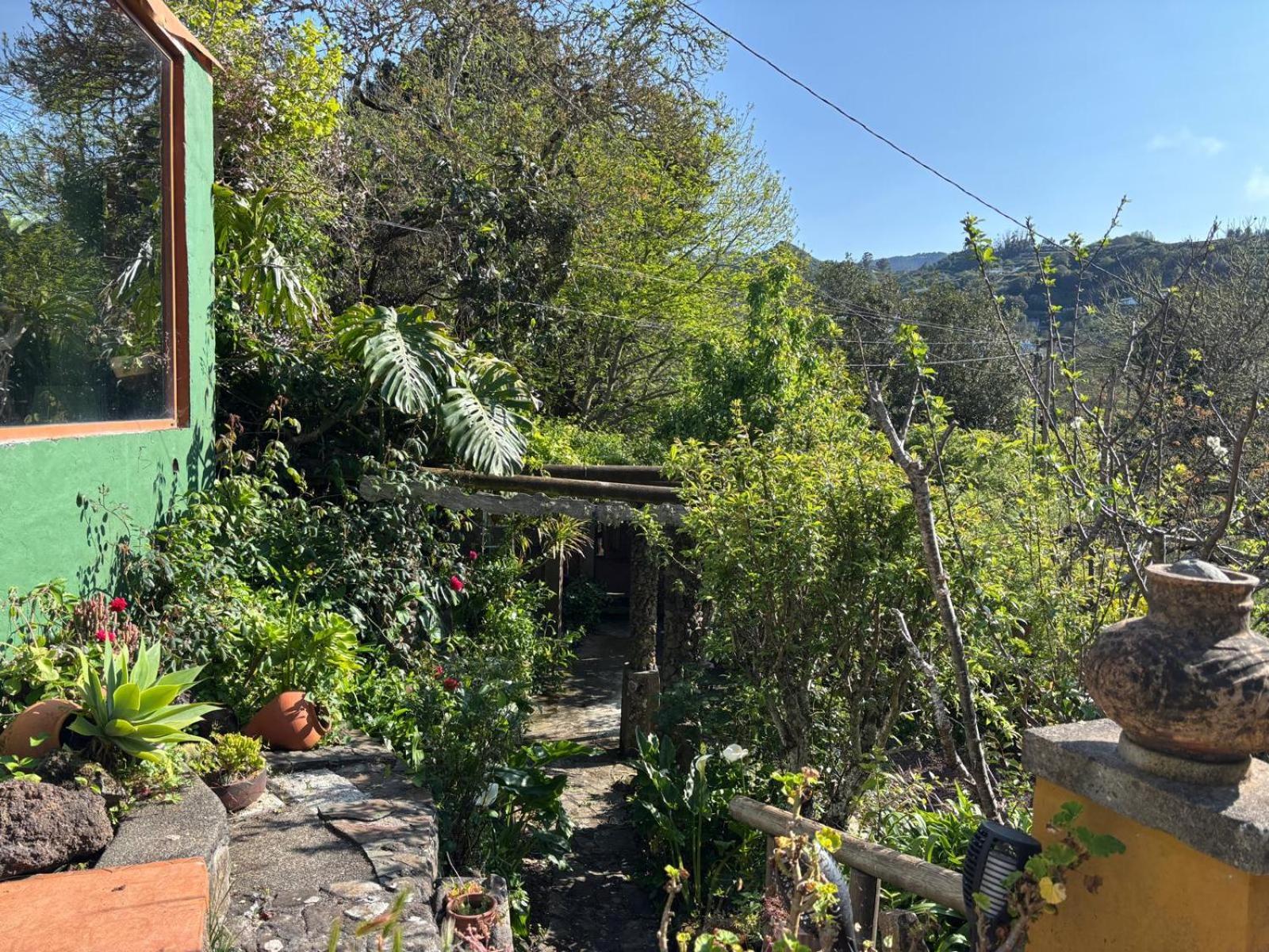 Los Matos, Canarian House In Valleseco 외부 사진
